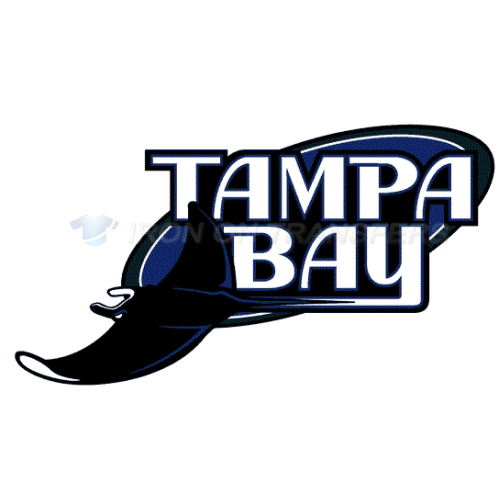 Tampa Bay Rays Iron-on Stickers (Heat Transfers)NO.1949